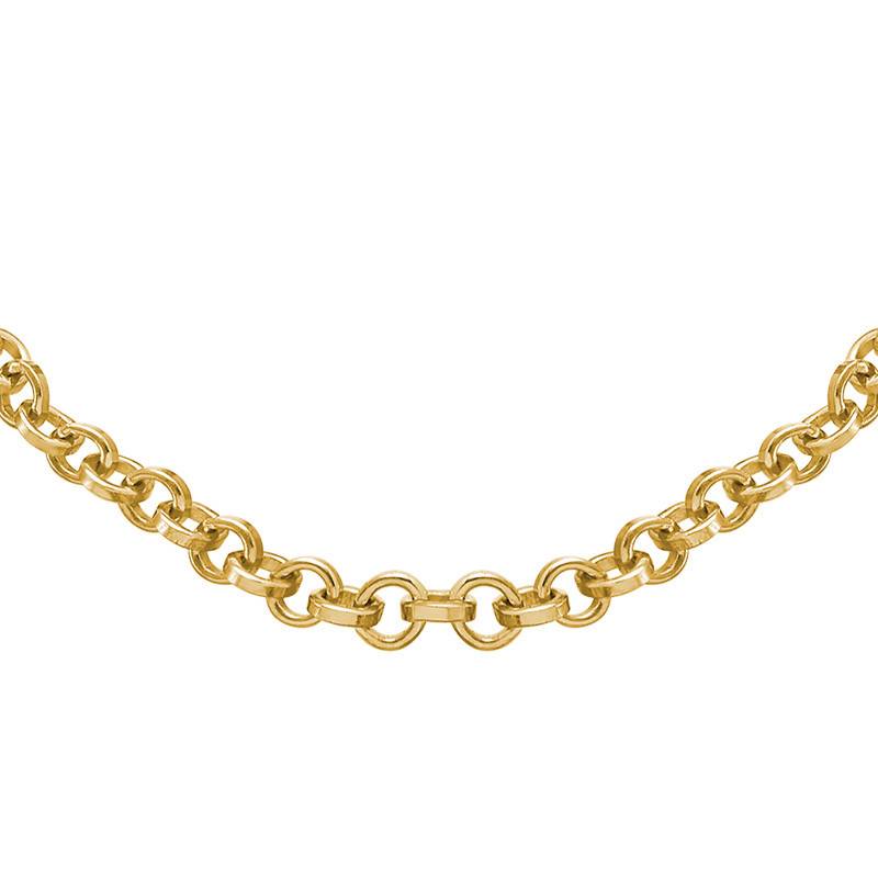 Rollo Chain - Gold Plated-2 product photo